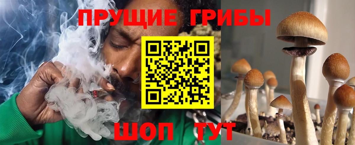 Псилоцибиновые грибы мухоморы Киров